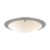 Belid Cirklo Ceiling Light Ø40 Cm Concrete Gray